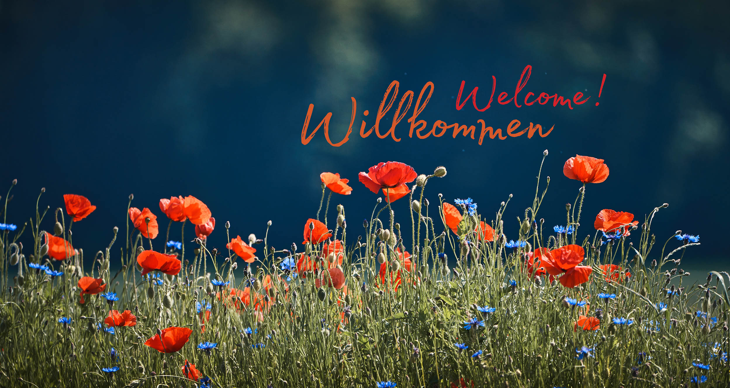 Willkommen
