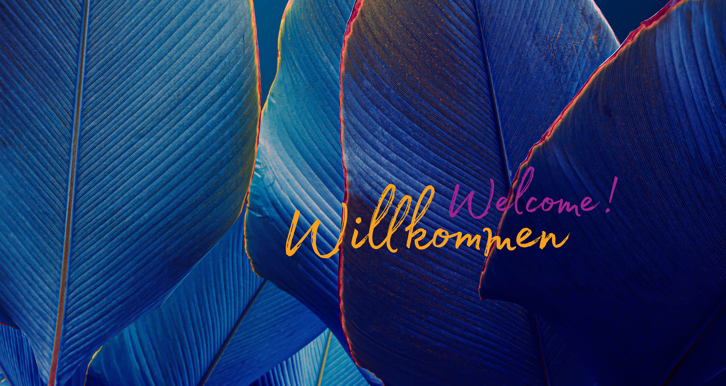 Willkommen